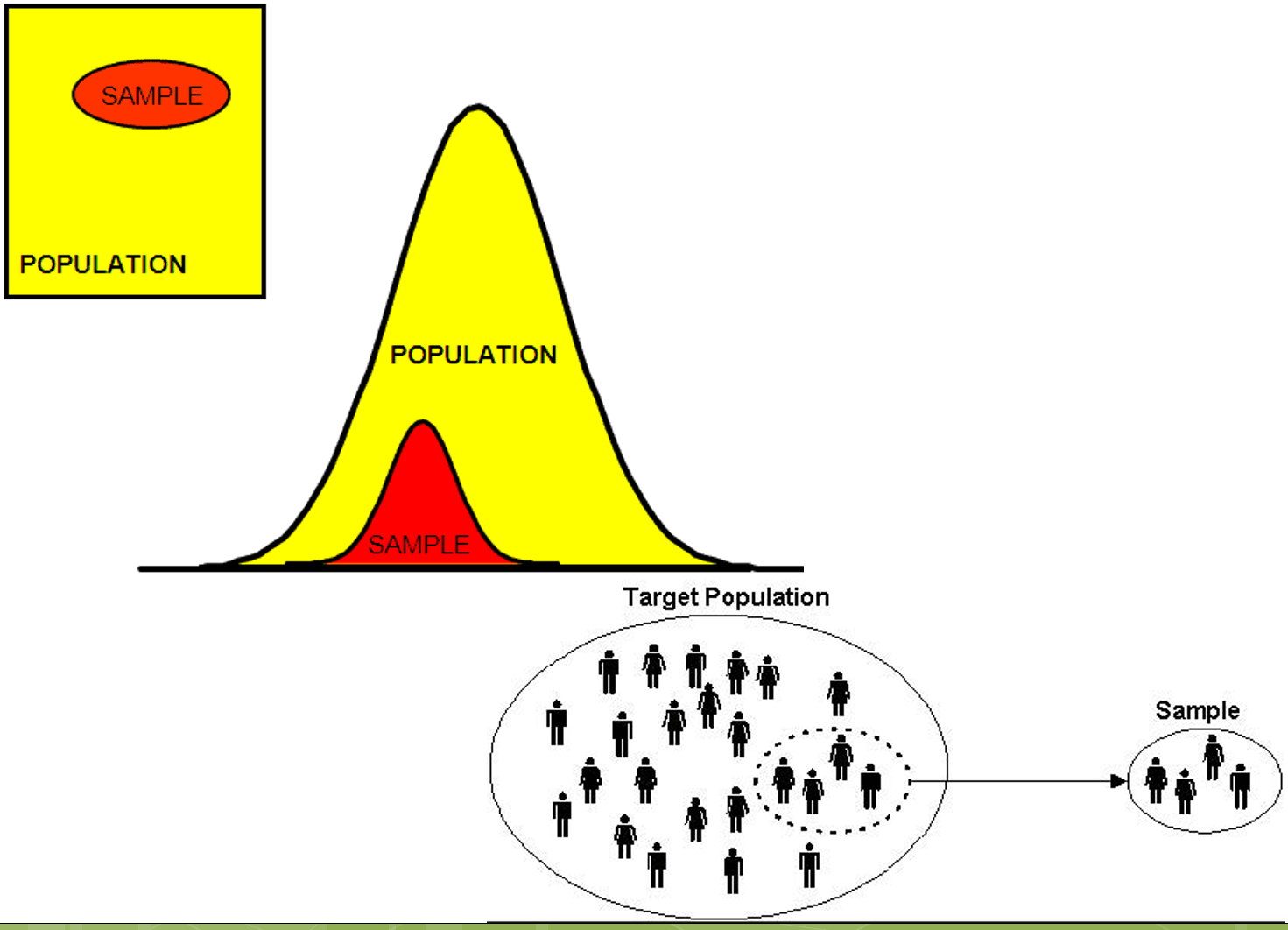 population vs sample